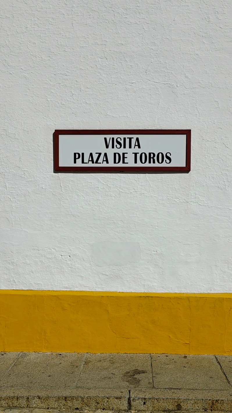 Interior de la Maestranza de Sevilla en una visita guiada taurina