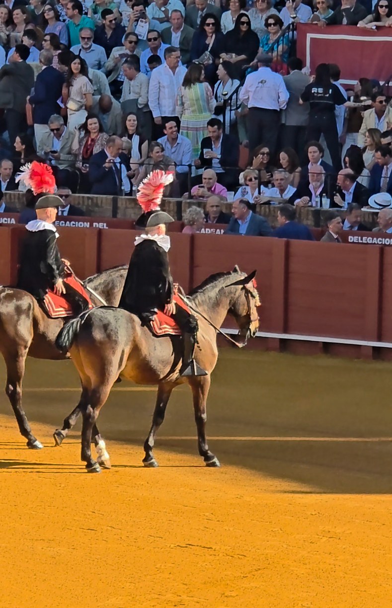 Experiencias y rutas taurinas personalizadas en Sevilla